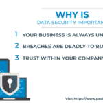 Data Security and Your Company