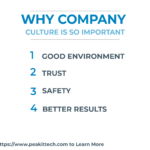 Why a Company’s Culture is So Important